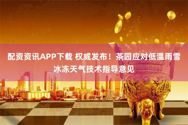 配资资讯APP下载 权威发布！茶园应对低温雨雪冰冻天气技术指导意见