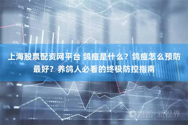 上海股票配资网平台 鸽痘是什么？鸽痘怎么预防最好？养鸽人必看的终极防控指南