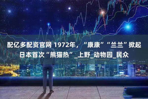 配亿多配资官网 1972年，“康康”“兰兰”掀起日本首次“熊猫热”_上野_动物园_民众