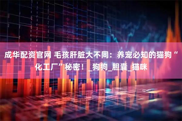 成华配资官网 毛孩肝脏大不同：养宠必知的猫狗“化工厂”秘密！_狗狗_胆囊_猫咪