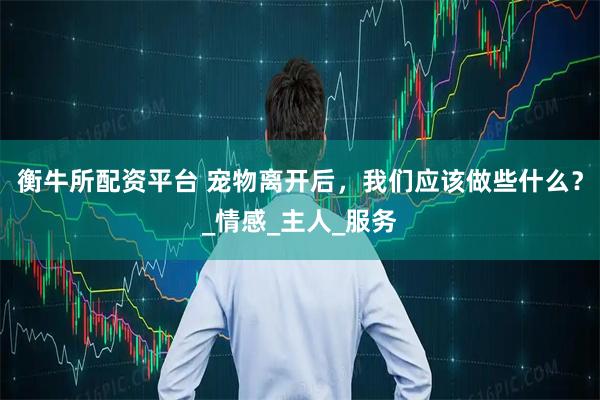 衡牛所配资平台 宠物离开后，我们应该做些什么？_情感_主人_服务