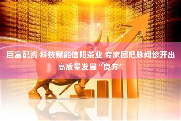 巨富配资 科技赋能信阳茶业 专家团把脉问诊开出高质量发展“良方”