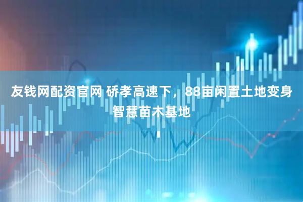 友钱网配资官网 硚孝高速下，88亩闲置土地变身智慧苗木基地