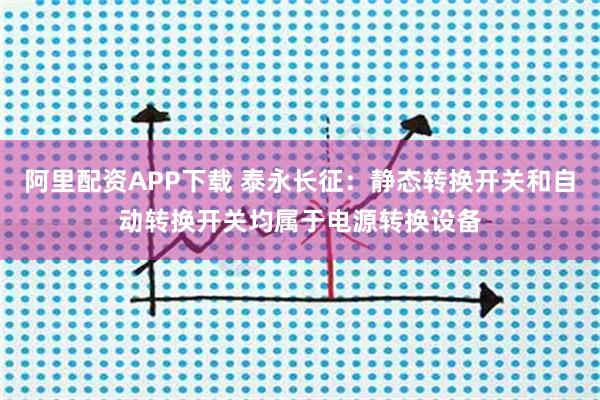 阿里配资APP下载 泰永长征：静态转换开关和自动转换开关均属于电源转换设备